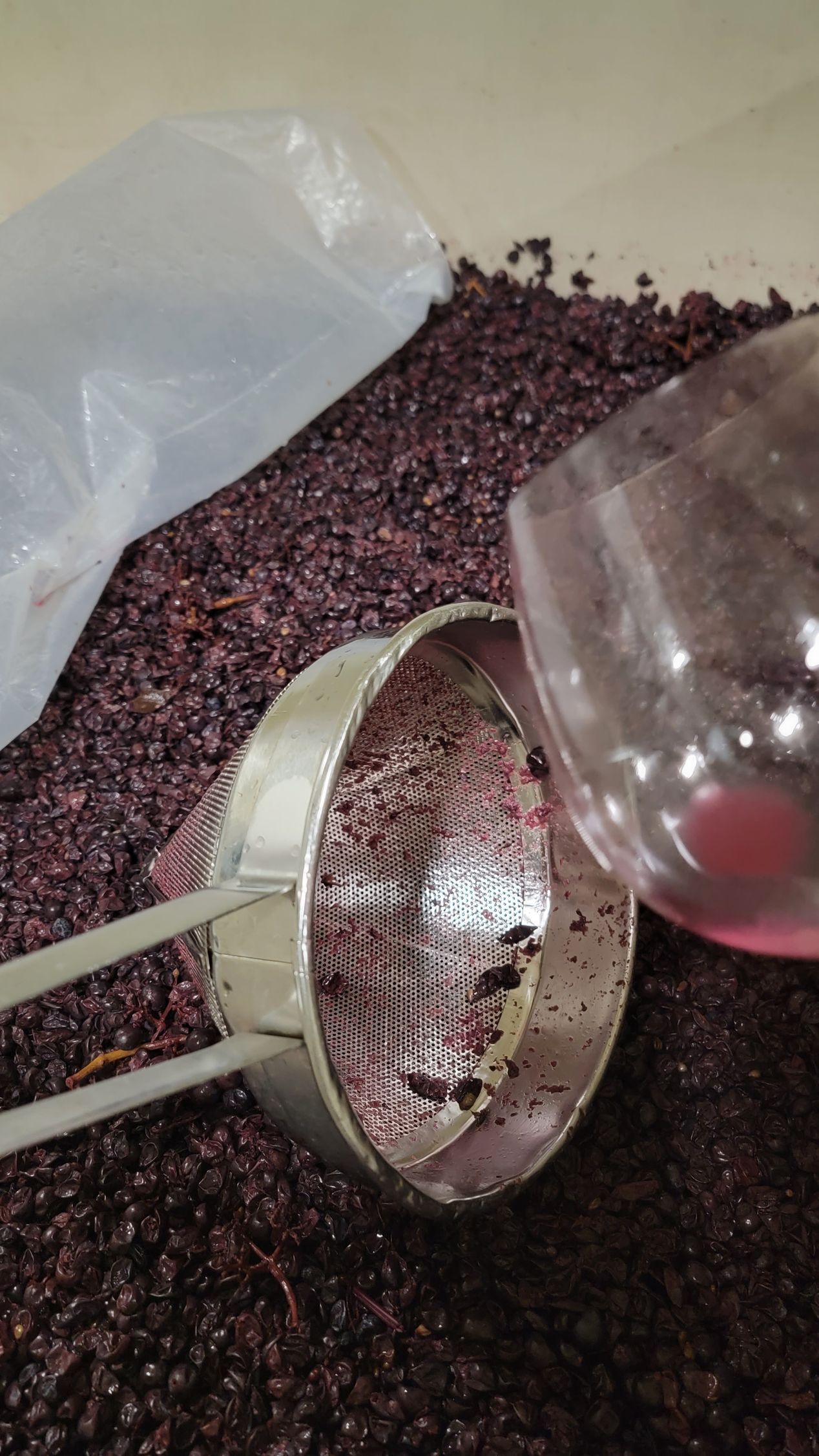 Pinot Noir Grapes Being Fermented