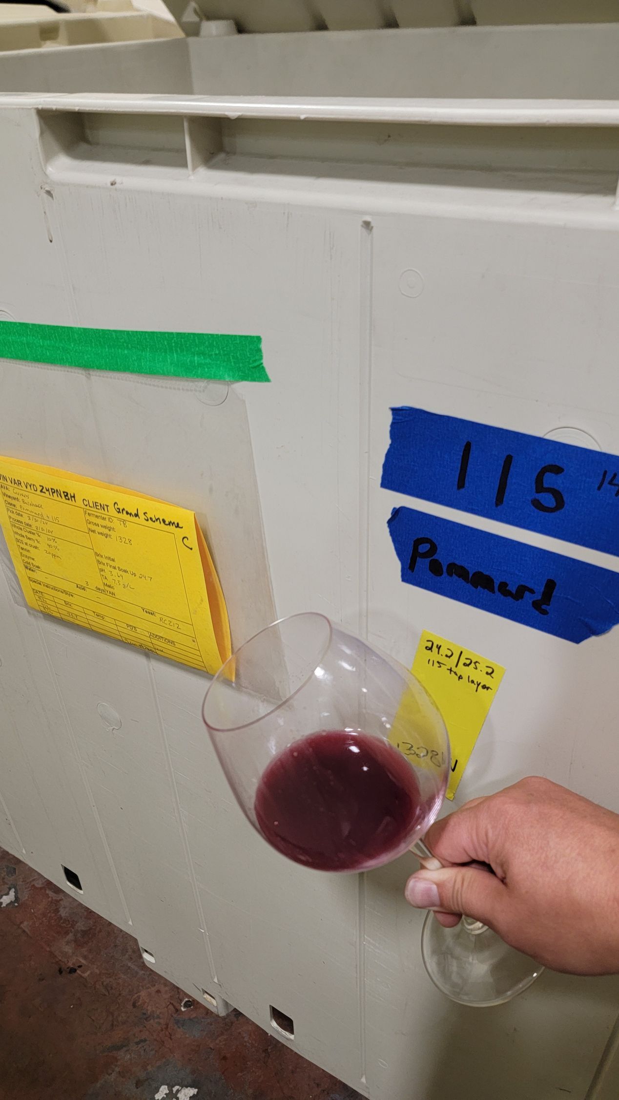 Tasting Pinot Noir Grapes Being Fermented