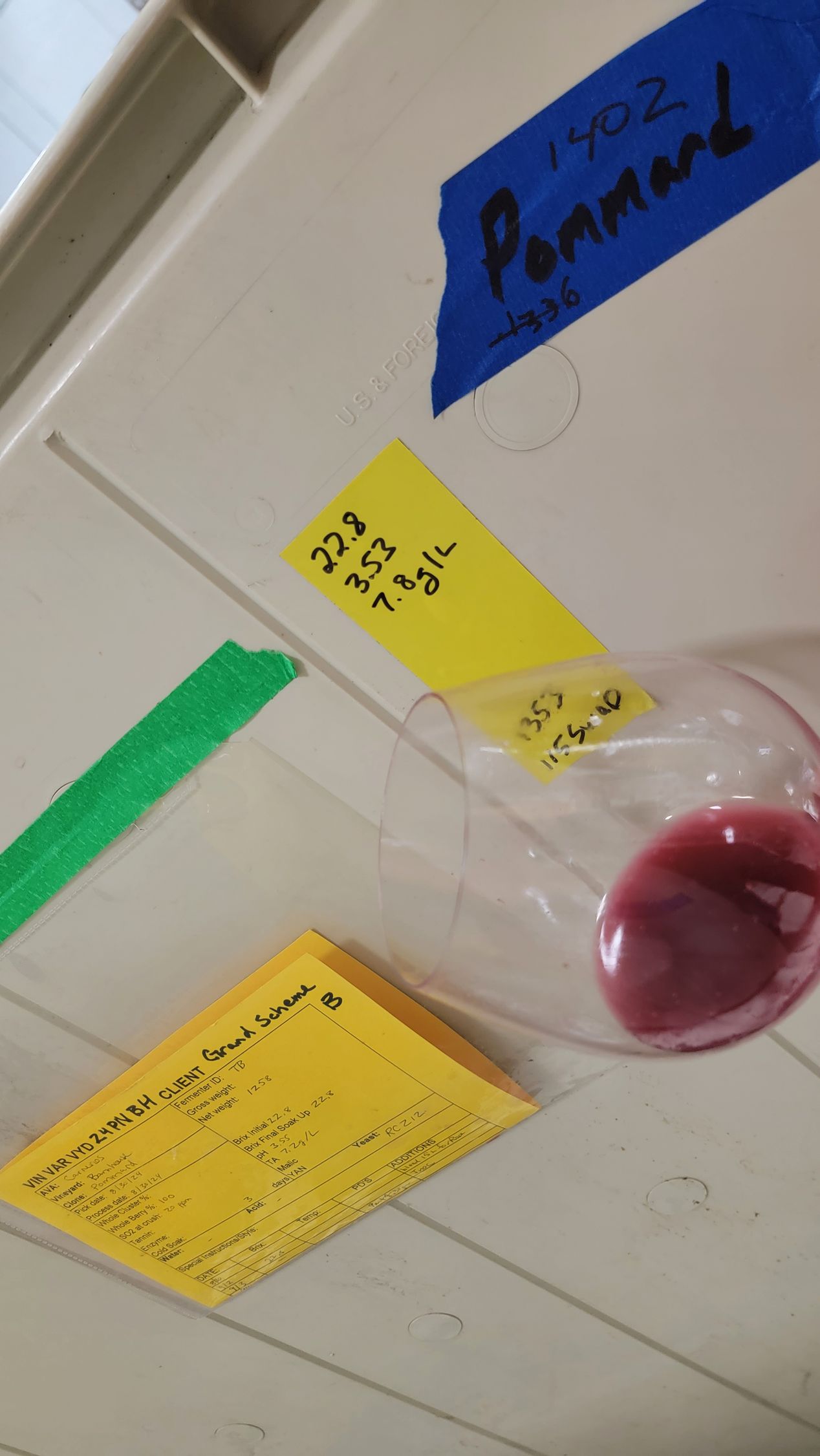 Tasting Pinot Noir Grapes Being Fermented