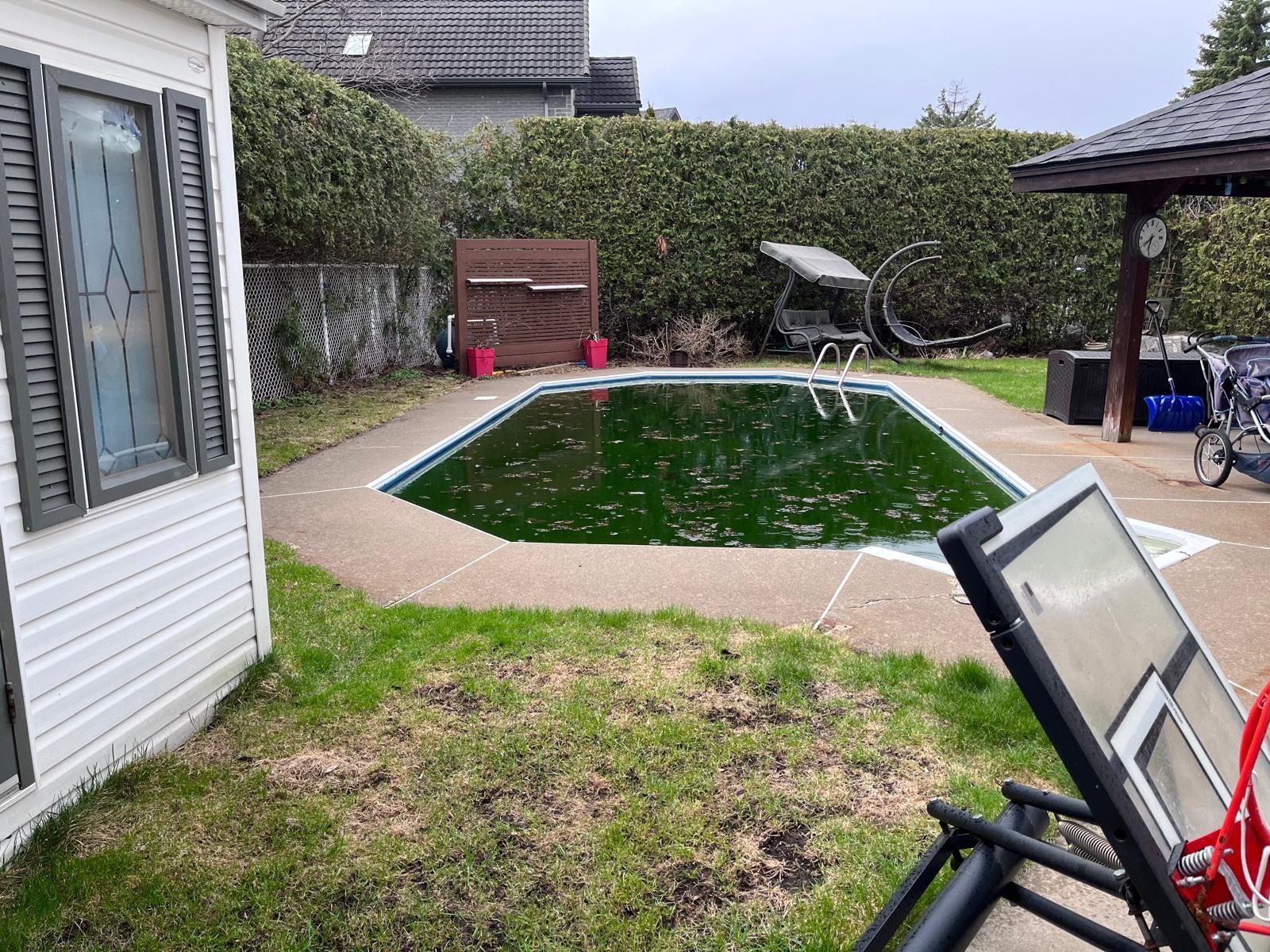 Il y a une piscine dans l'arrière-cour d'une maison.