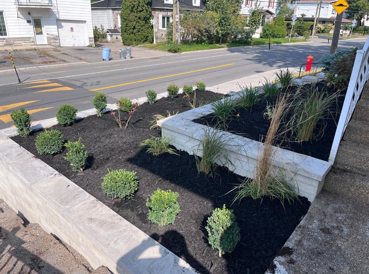 Un jardin est en cours de construction au bord de la route.