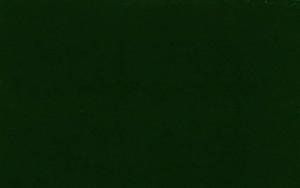RAL 6005 - VERDE MUSCHIO