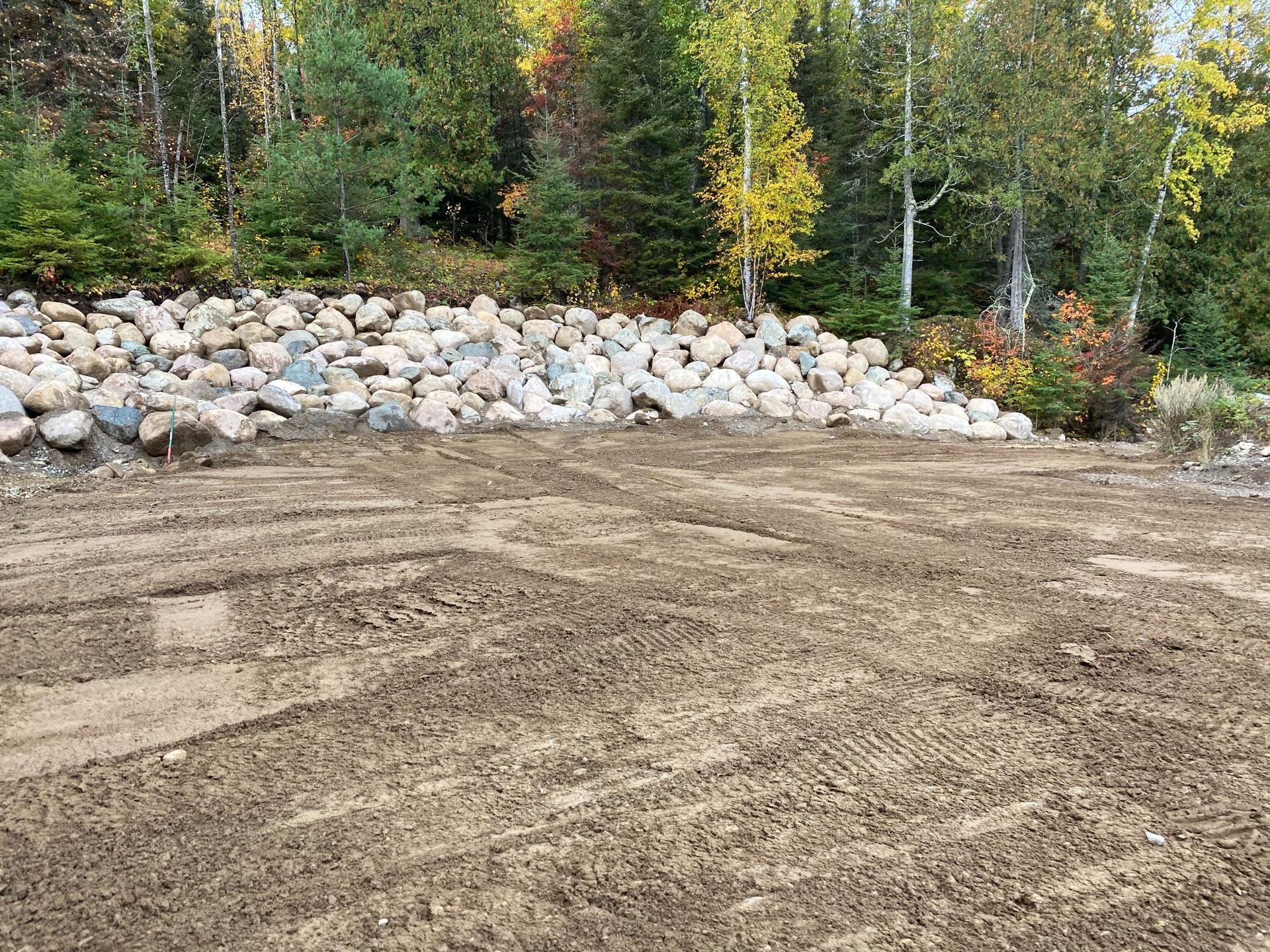 A large pile of rocks is sitting on top of a dirt field in the middle of a forest.