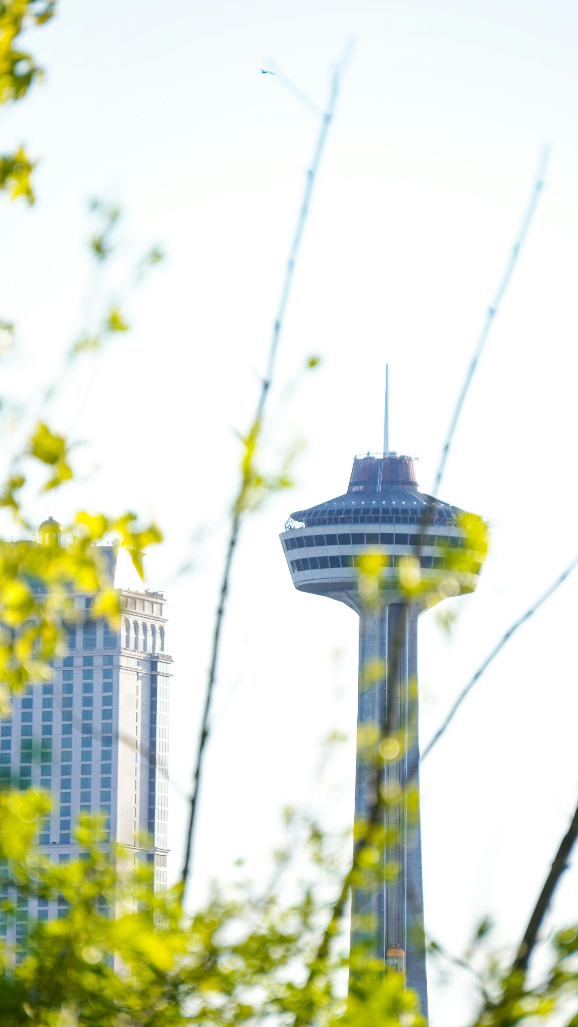 NIAGARA REGION SEO