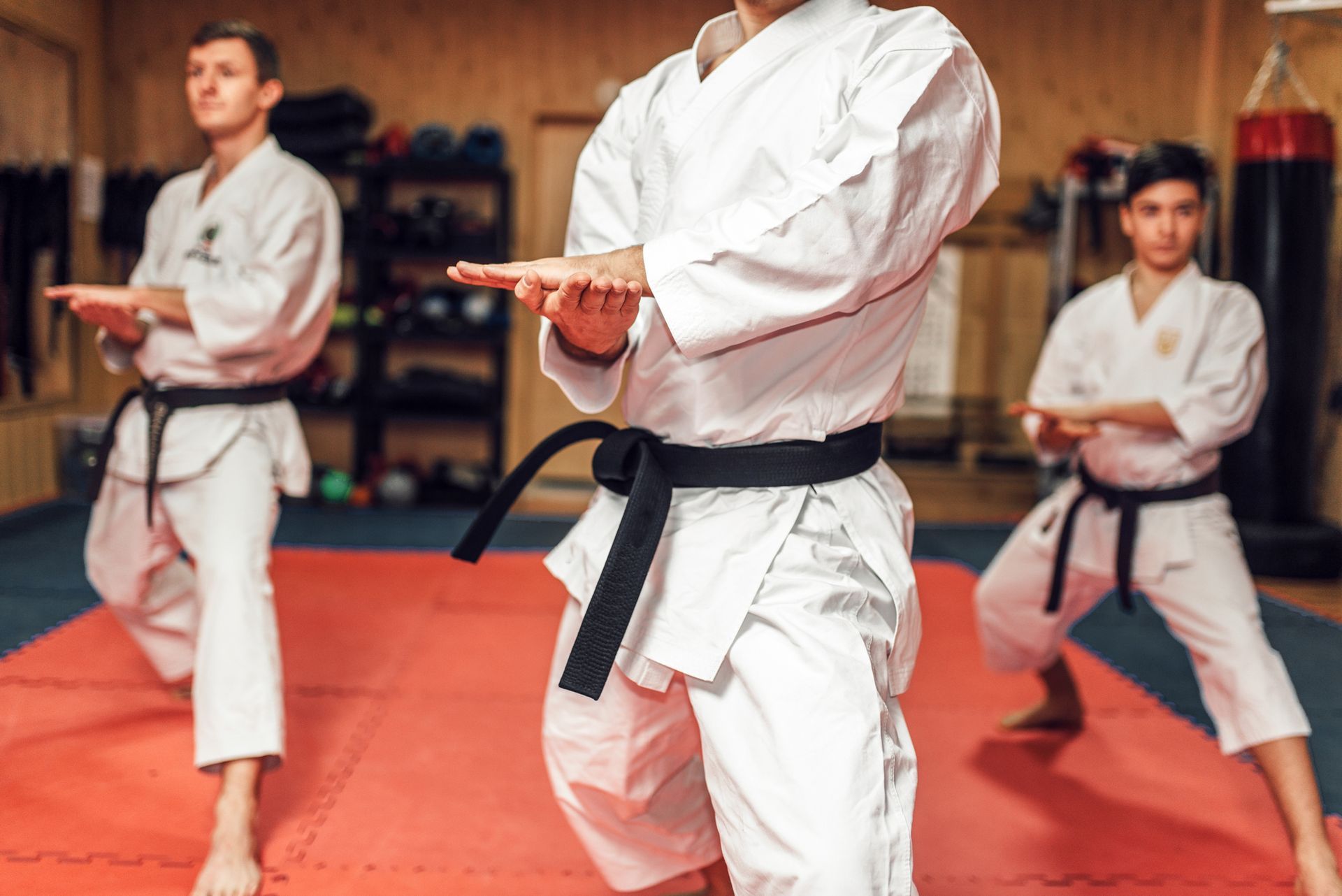 Tang Soo Do Basics in Twin Falls, ID