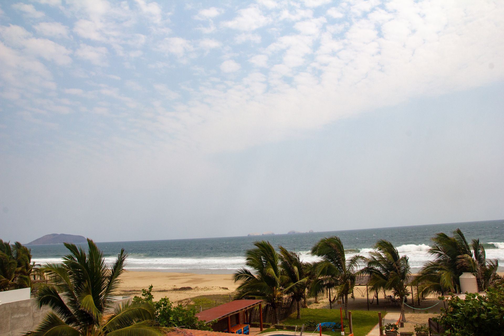 A view of a beach with palm trees and a blue sky