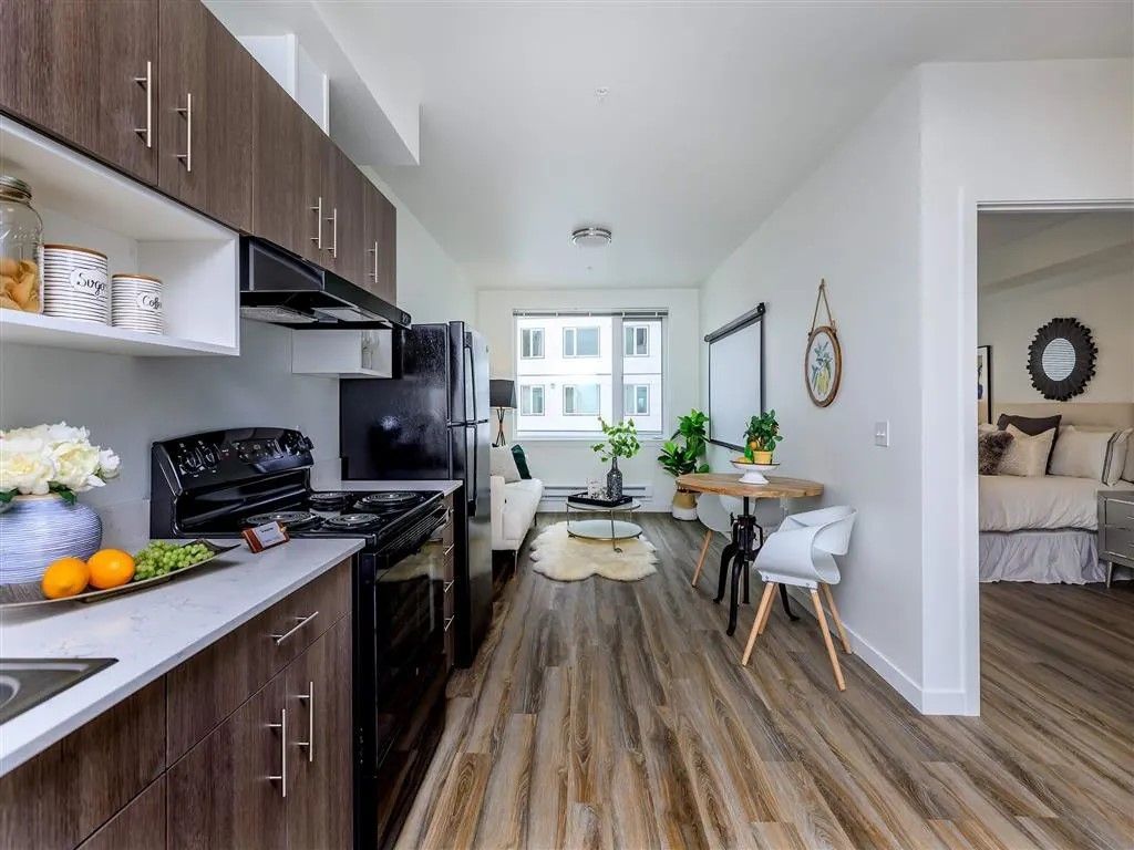 Modern apartment interior: kitchen with dark cabinets, leading to a living room and bedroom.
