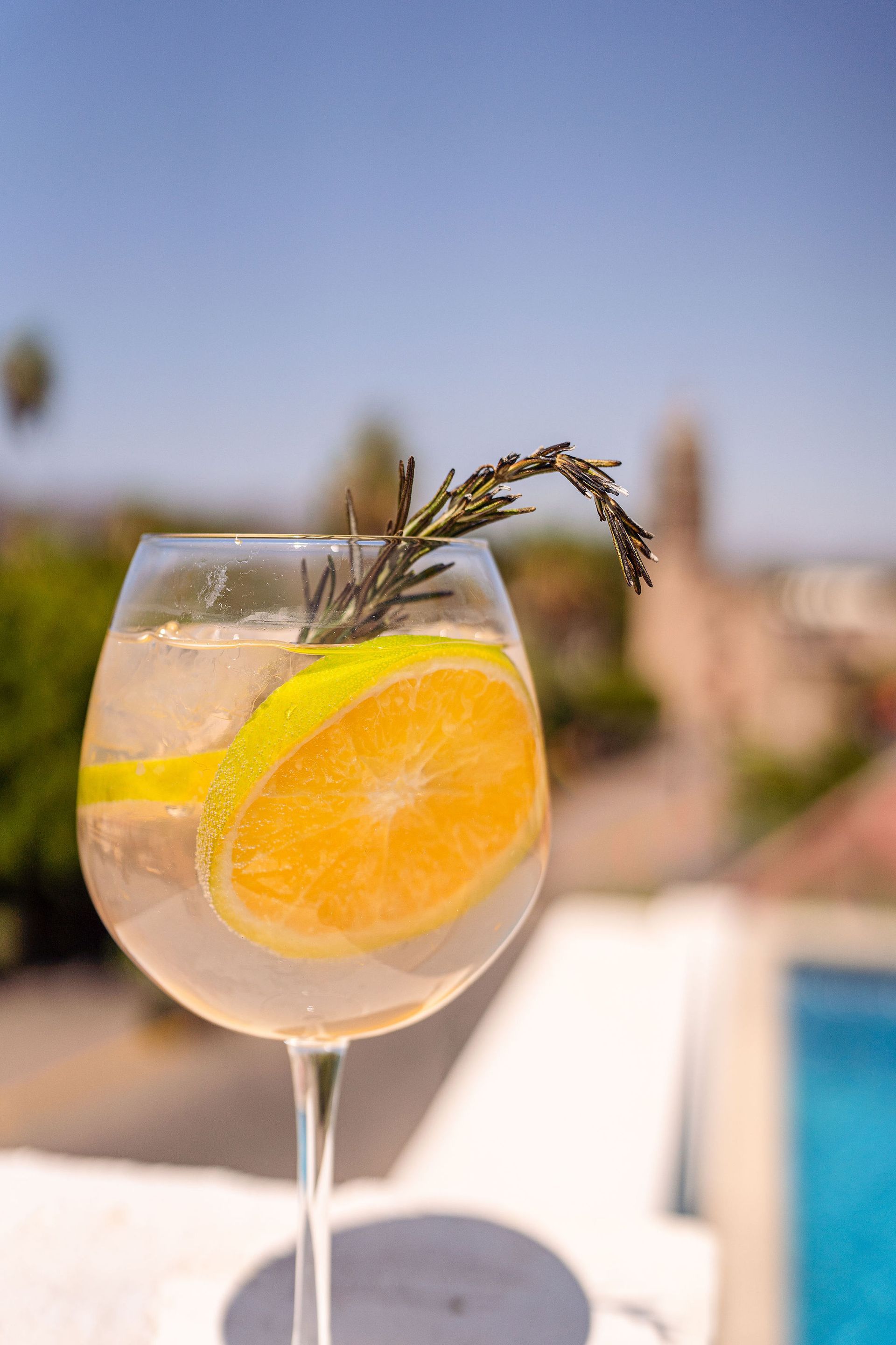 A close up of a glass of gin and tonic with a slice of orange on top.