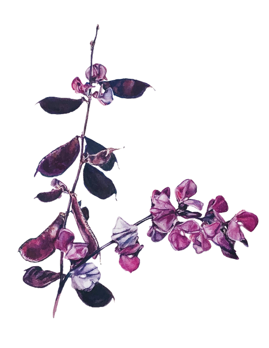 Shelter Island Blue by Lisa Maxwell