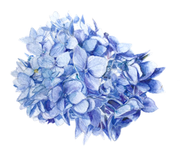 Shelter Island Blue by Lisa Maxwell