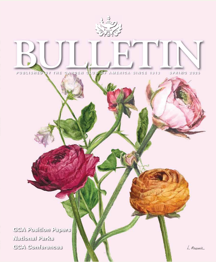 Bulletin Spring 2025