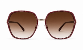 Aros Guess 2