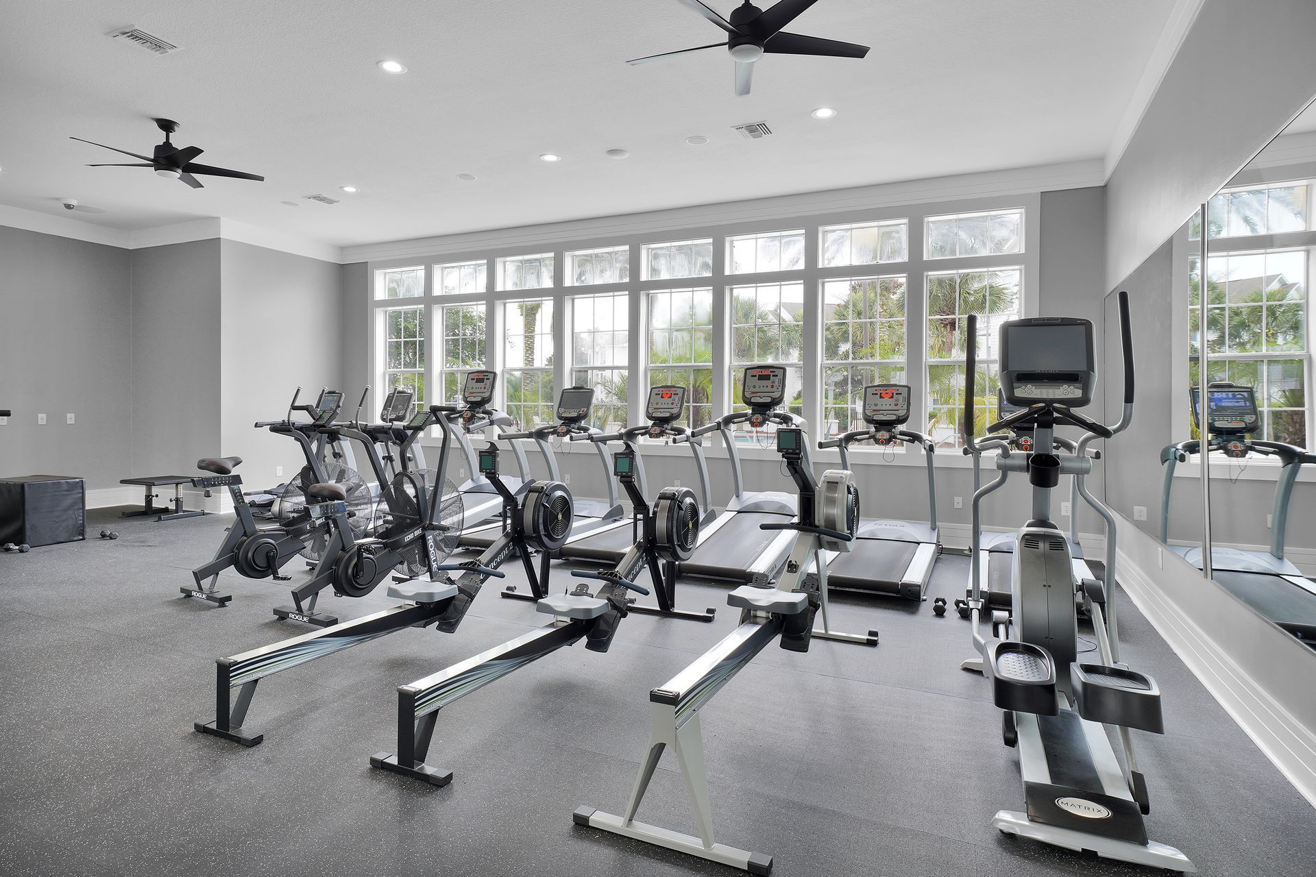 A well-equipped gym with exercise machines, weights, benches, and ceiling fans; gray and black color scheme.