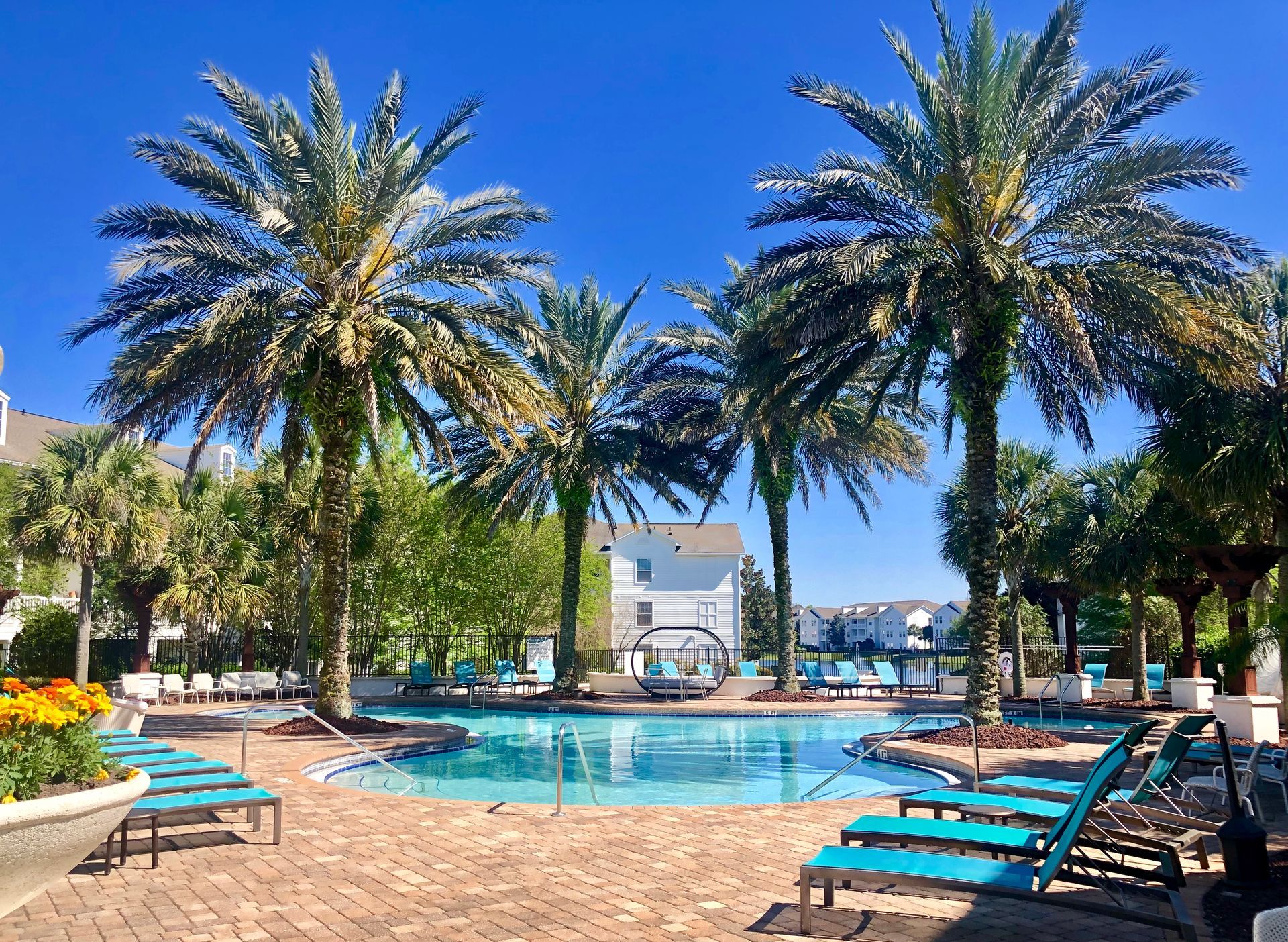 Swimming pool with steps, surrounded by brick patio, palm trees and buildings, on a sunny day.