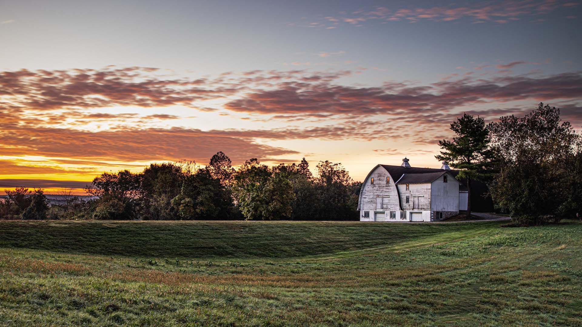 A white barn is sitting in the middle of a grassy field at sunset.