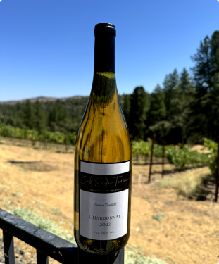 A bottle of 2022 Chardonnay sits on a railing in front of a vineyard under a clear blue sky.
