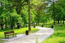 Katonah Parks