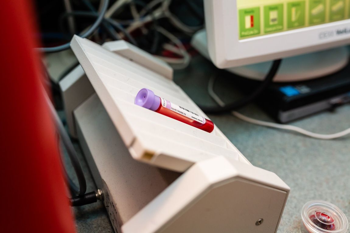 Brazos Woods Veterinary Clinic Lake Jackson, TX