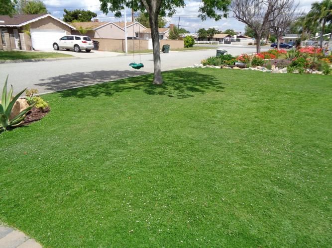 A lush green lawn in a residential neighborhood with a tree, swing, and parked cars on the street.