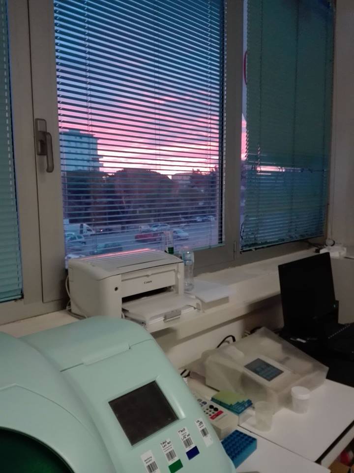 Una stampante è posizionata su una scrivania di fronte a una finestra con le persiane.