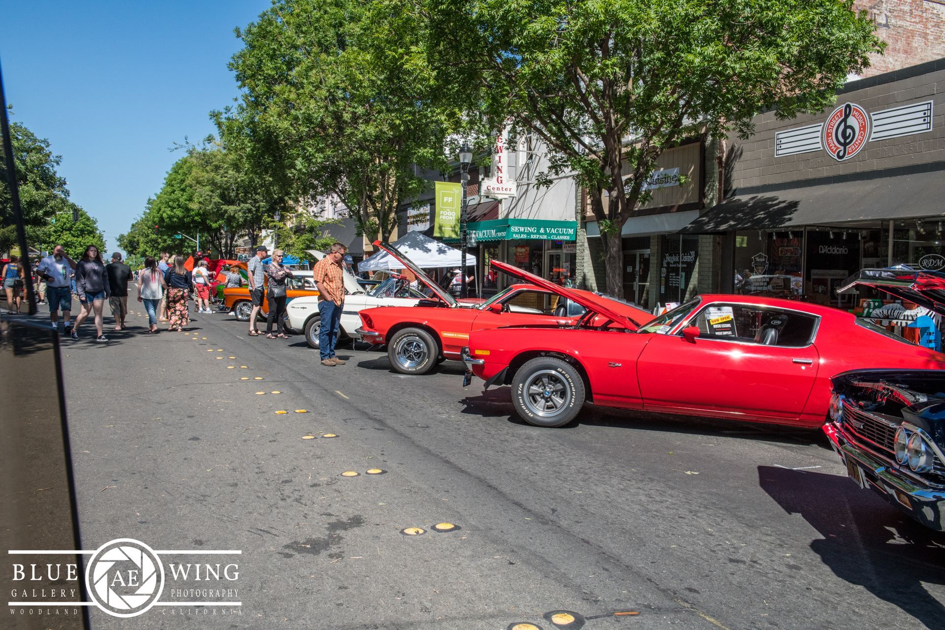 Woodland Street Cruisers Photo Gallery
© Visit Woodland