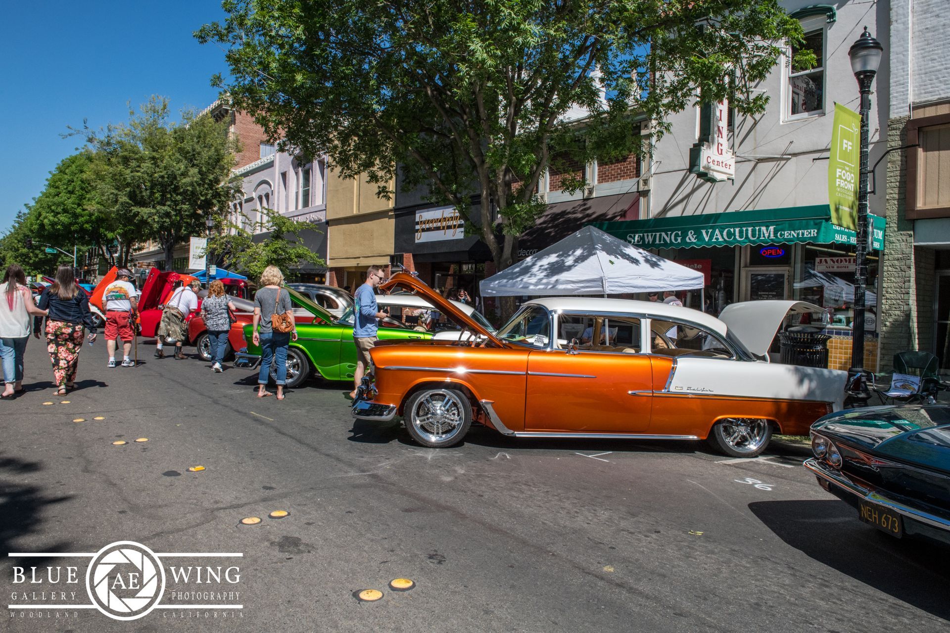 Woodland Street Cruisers Photo Gallery
© Visit Woodland