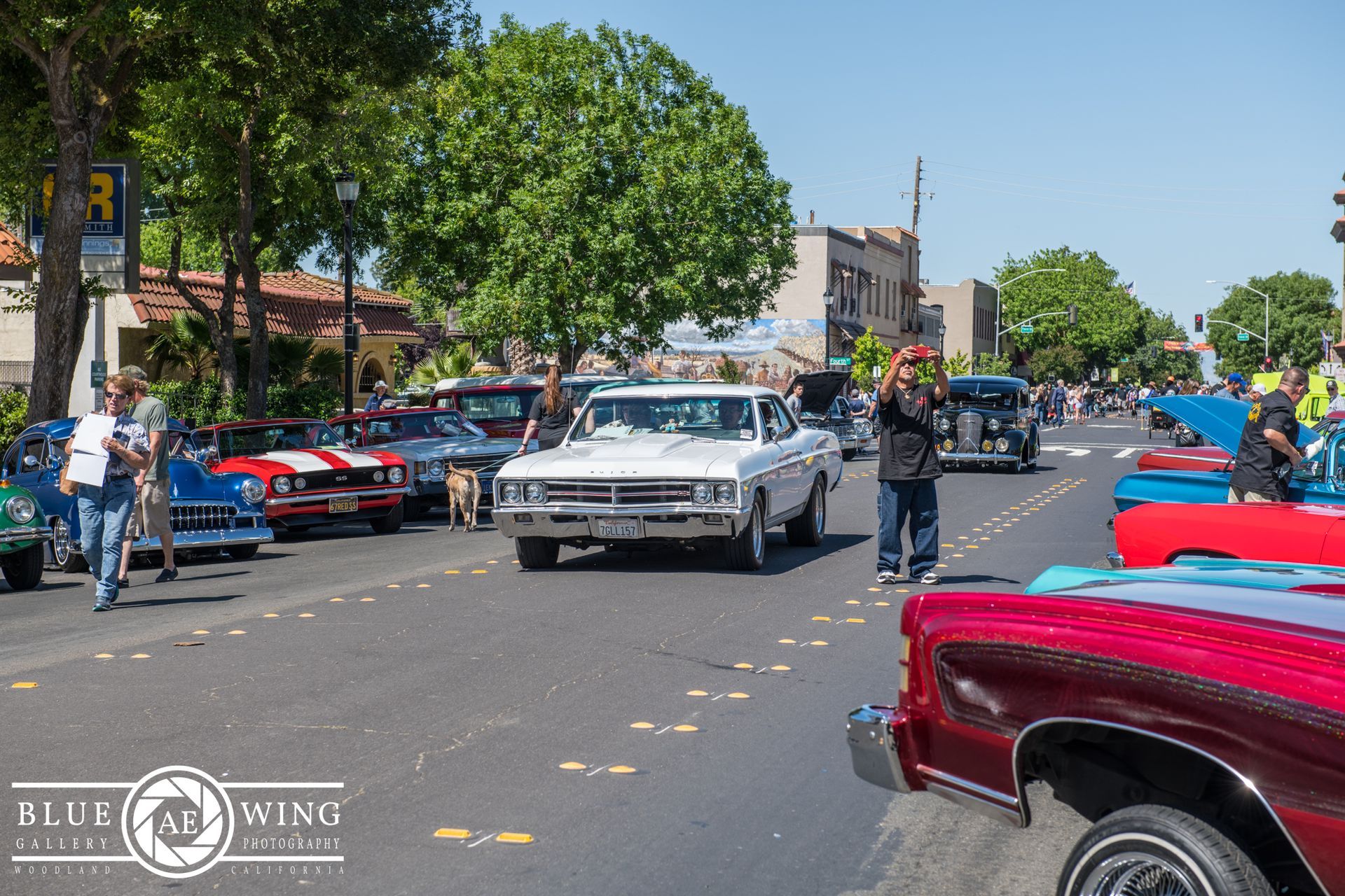 Woodland Street Cruisers Photo Gallery
© Visit Woodland