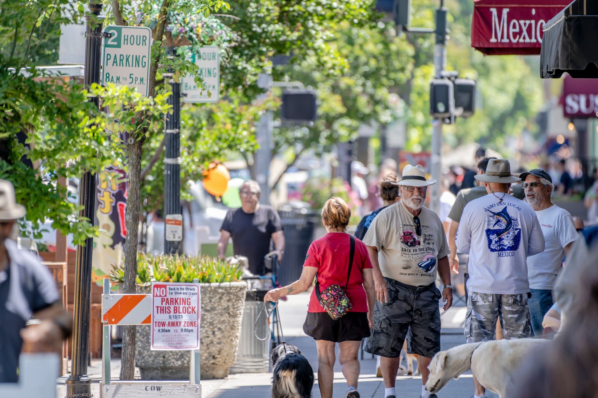 Woodland Street Cruisers Photo Gallery
© Visit Woodland