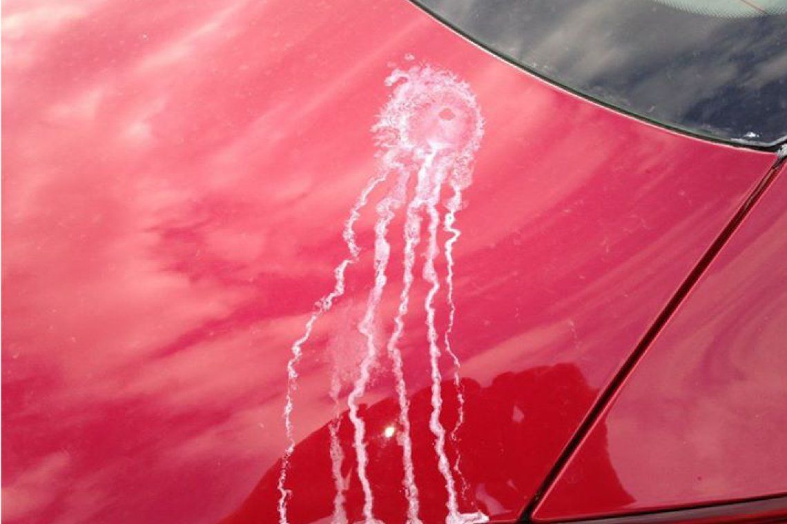 White paint drip mark on a red car door near the window edge