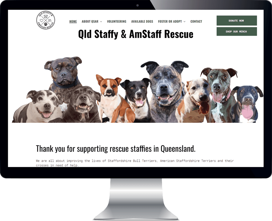 Qld staffy and amstaff rescue