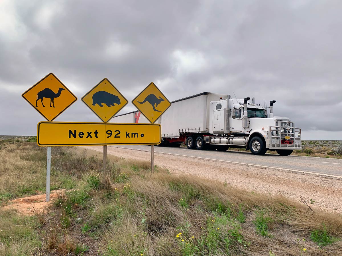 road crossing signs