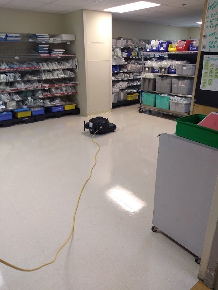 people mopping and cleaning the office