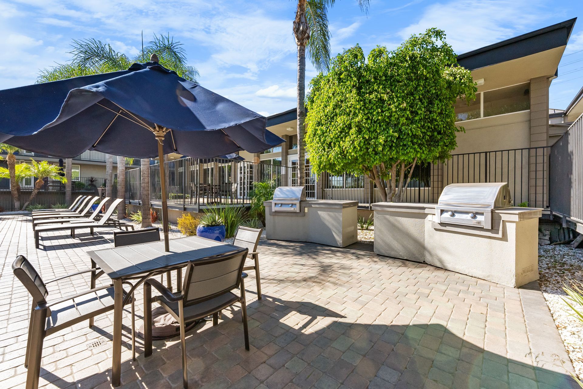 BBQ grills and picnic tables