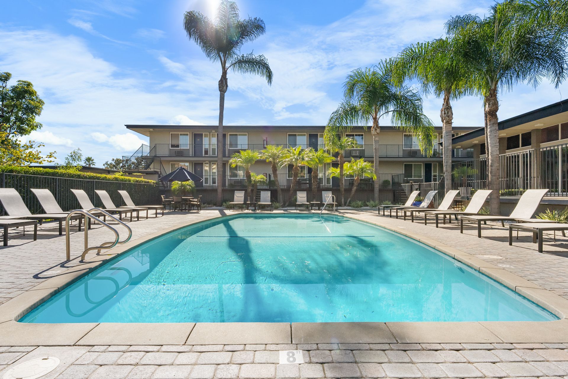Pool with palm trees and lounge chairs straight on