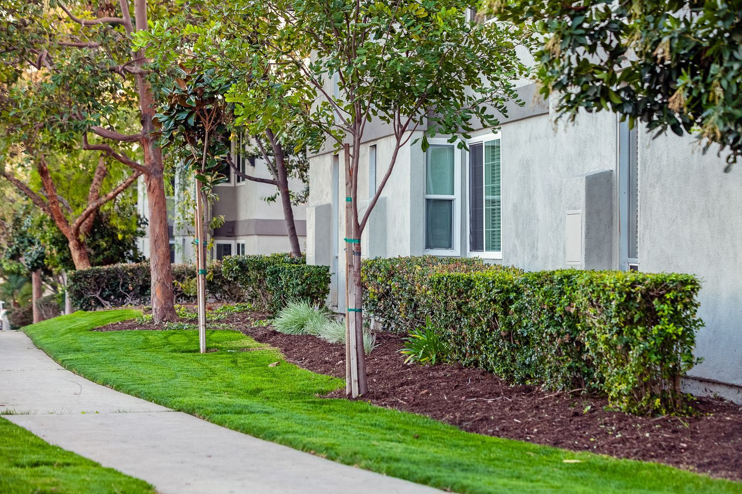 Summerwood courtyard walking area