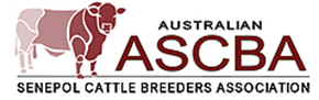 The Australian Senepol Cattle Breeders Association logo