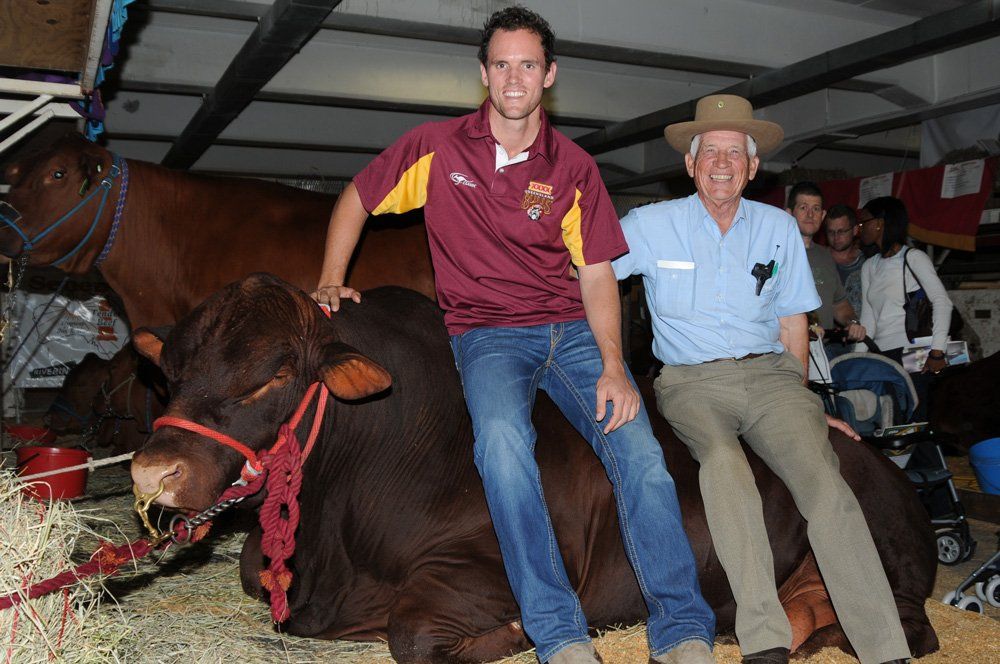 men sitting on a cow