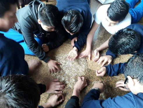 Fundación El renacer