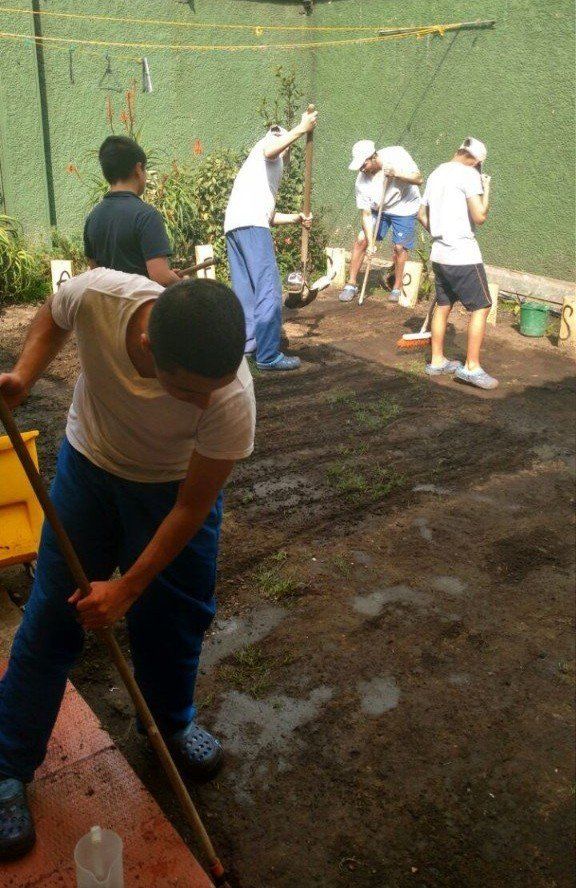 Fundación El renacer