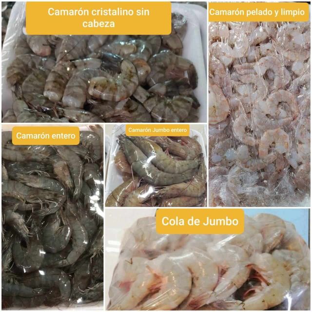 Mariscos, pescados y carne fresca – La mayor calidad en alimentos