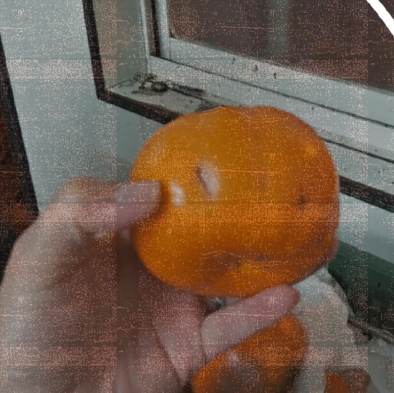 ugly fruit vegetable