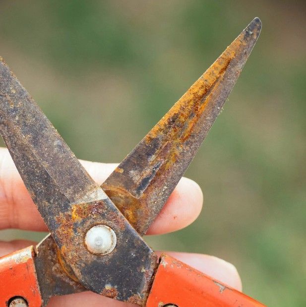 Fallen, decaying brown and tan leaves on the ground, possibly wet, with thin, glistening lines.