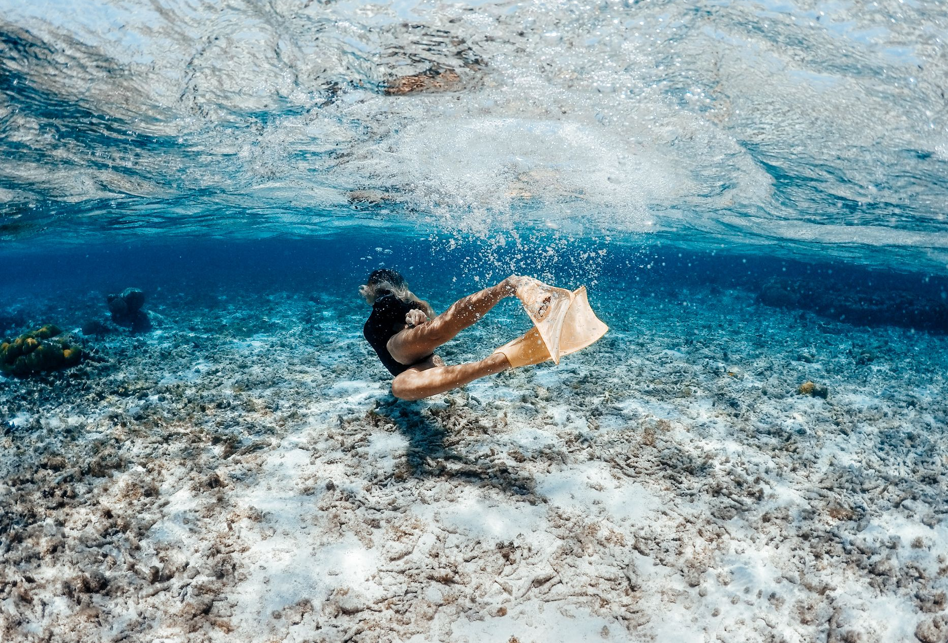 A group of scuba divers are swimming in the ocean.