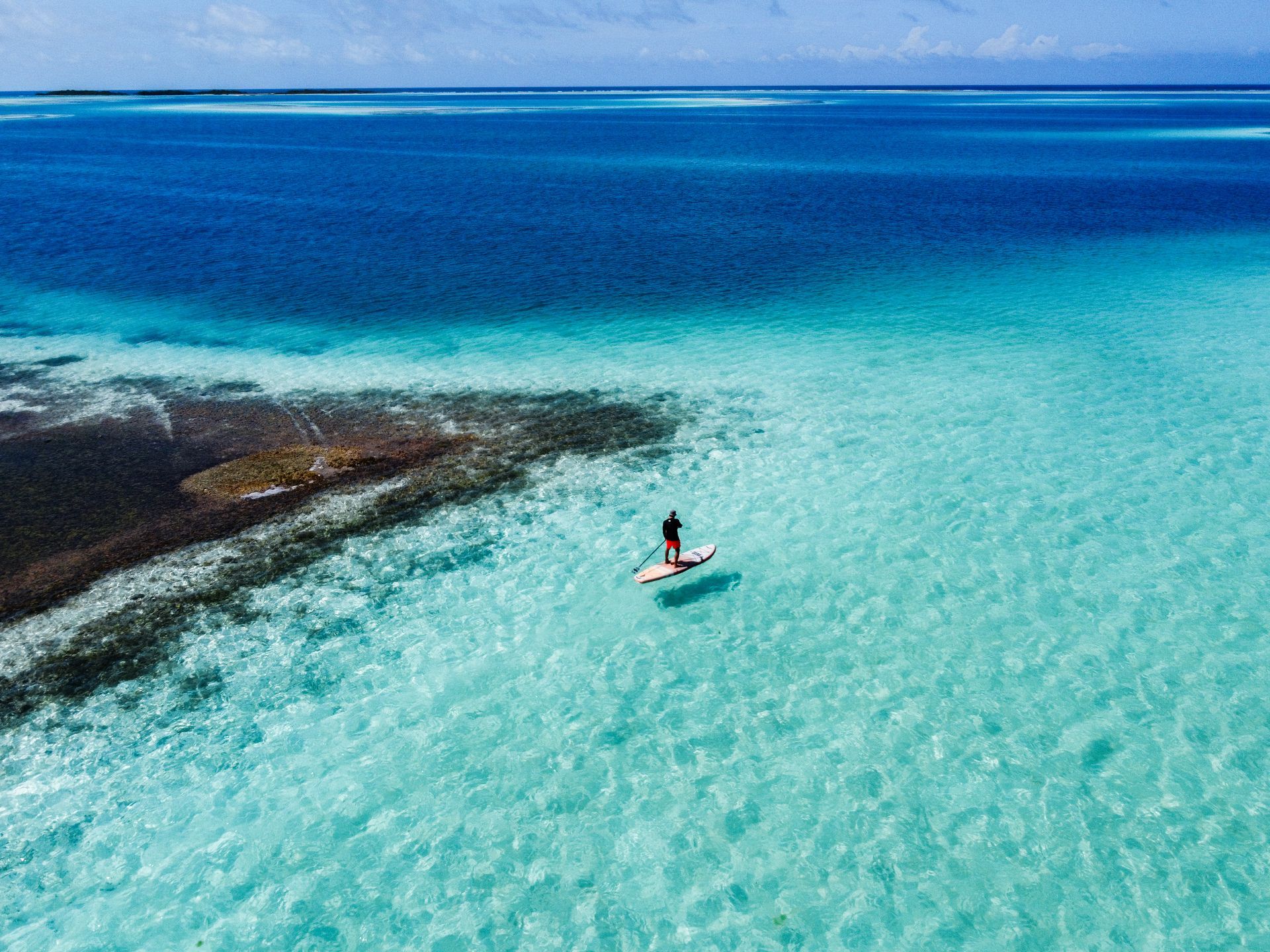 A man and a woman are standing on paddle boards in the ocean.