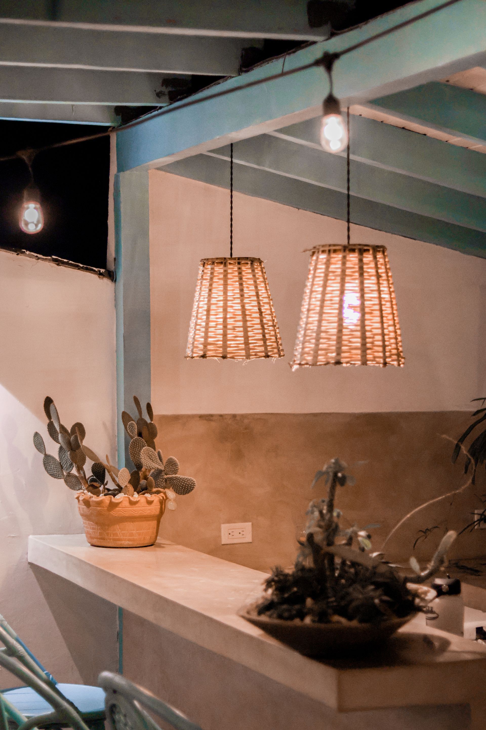 A cactus in a pot sits on a counter next to two hanging lights.