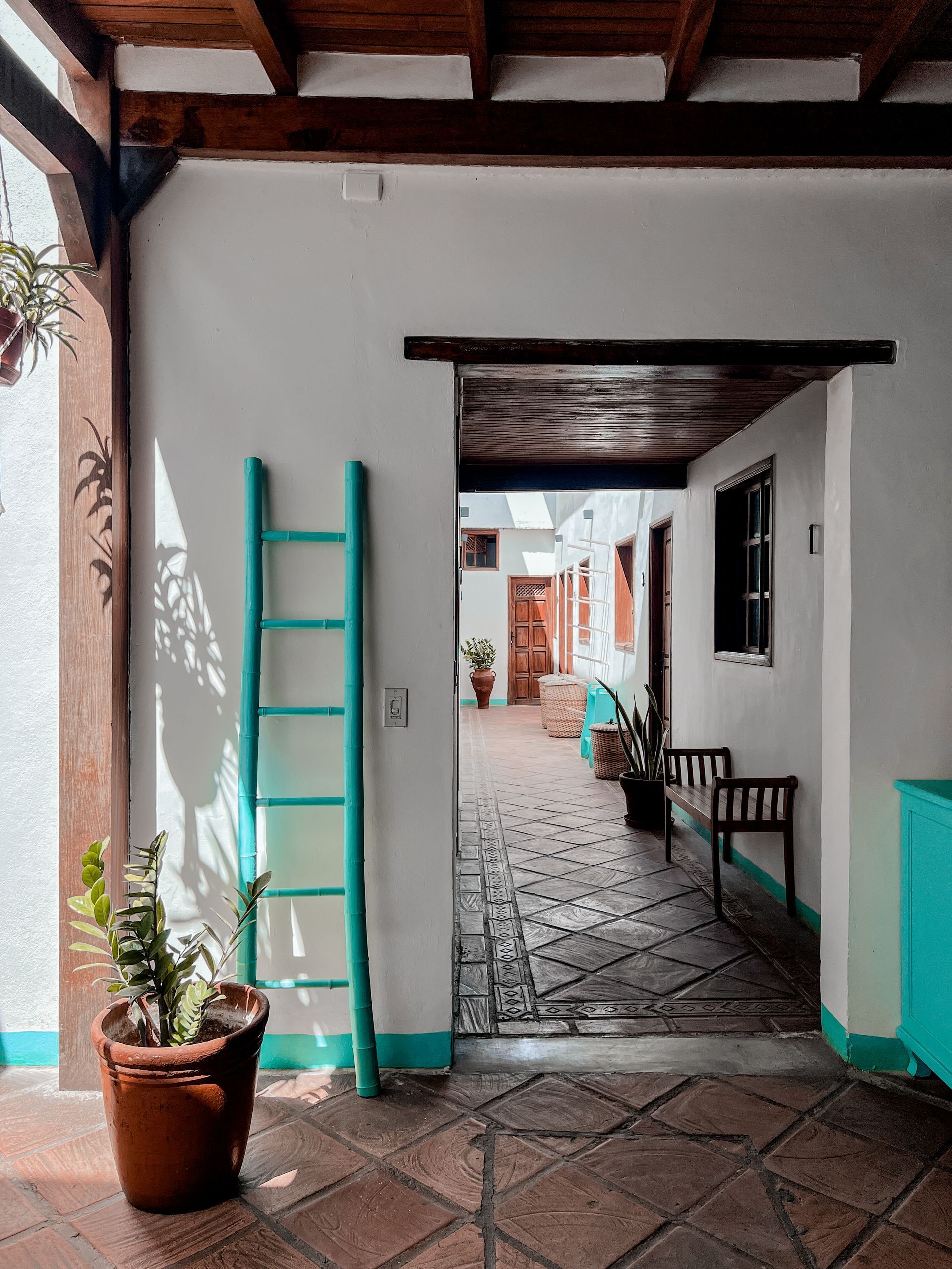 A potted plant is sitting on a tiled floor next to a ladder.