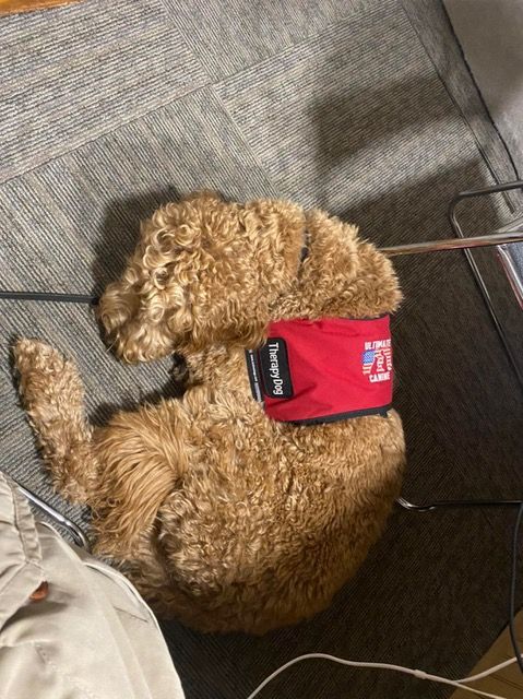 Norm Grief dog sleeping WILO morning show