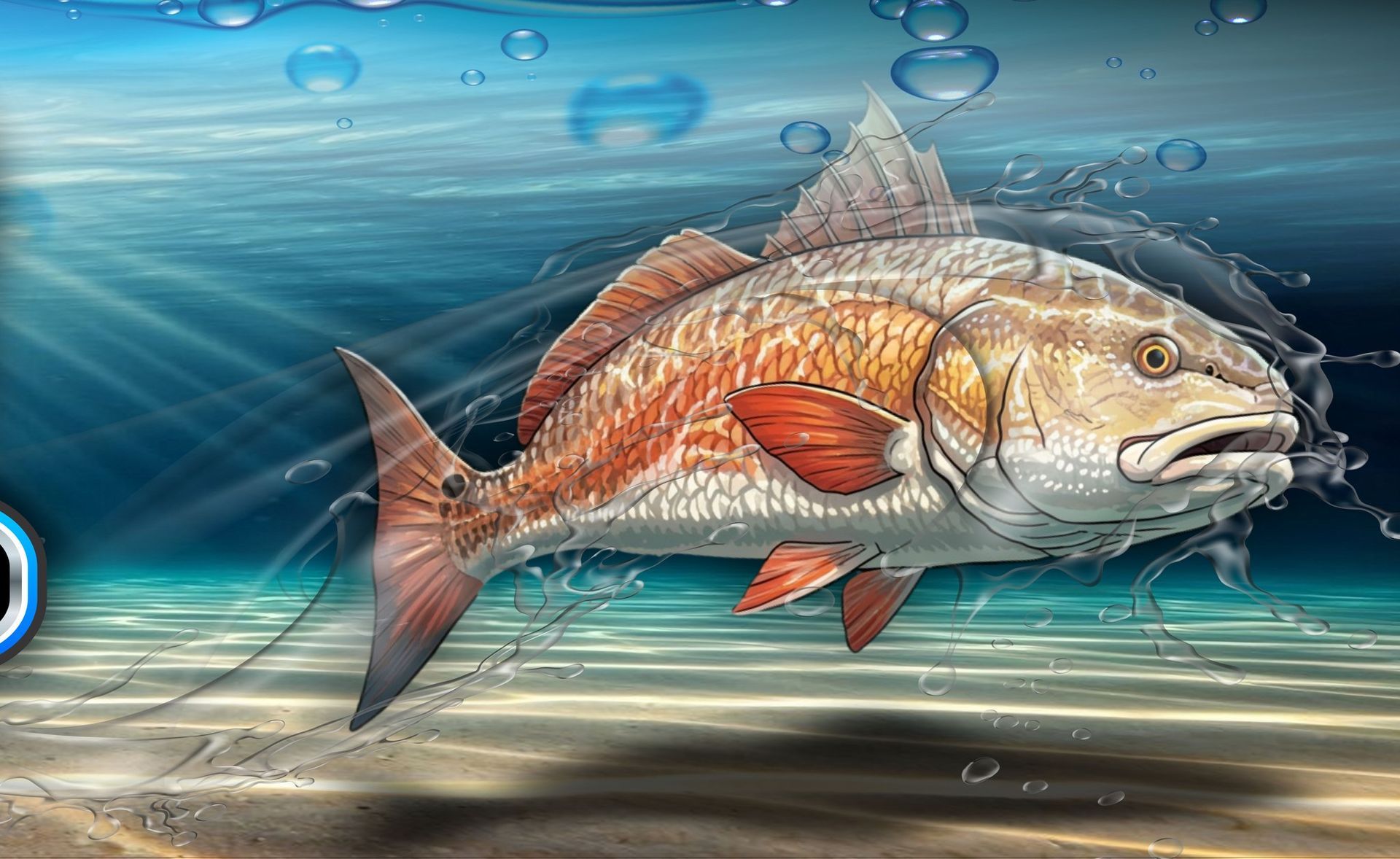 Redfish underwater, orange-red body, water splashing, sun rays.