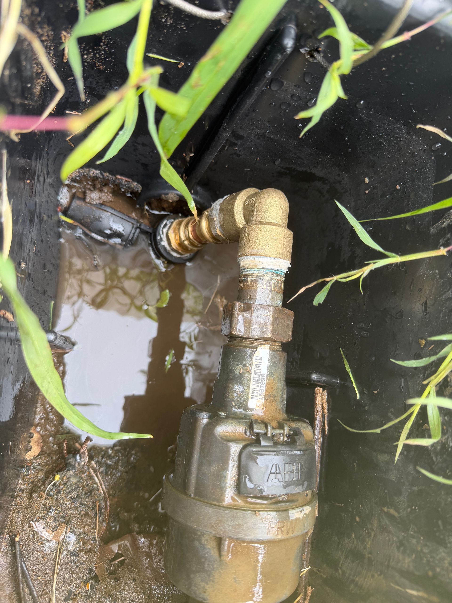Broken hose fitting leaking water in a muddy black container, with green plant stems nearby— Truflow Plumbing & Gas Solutions in Rockhampton City, QLD