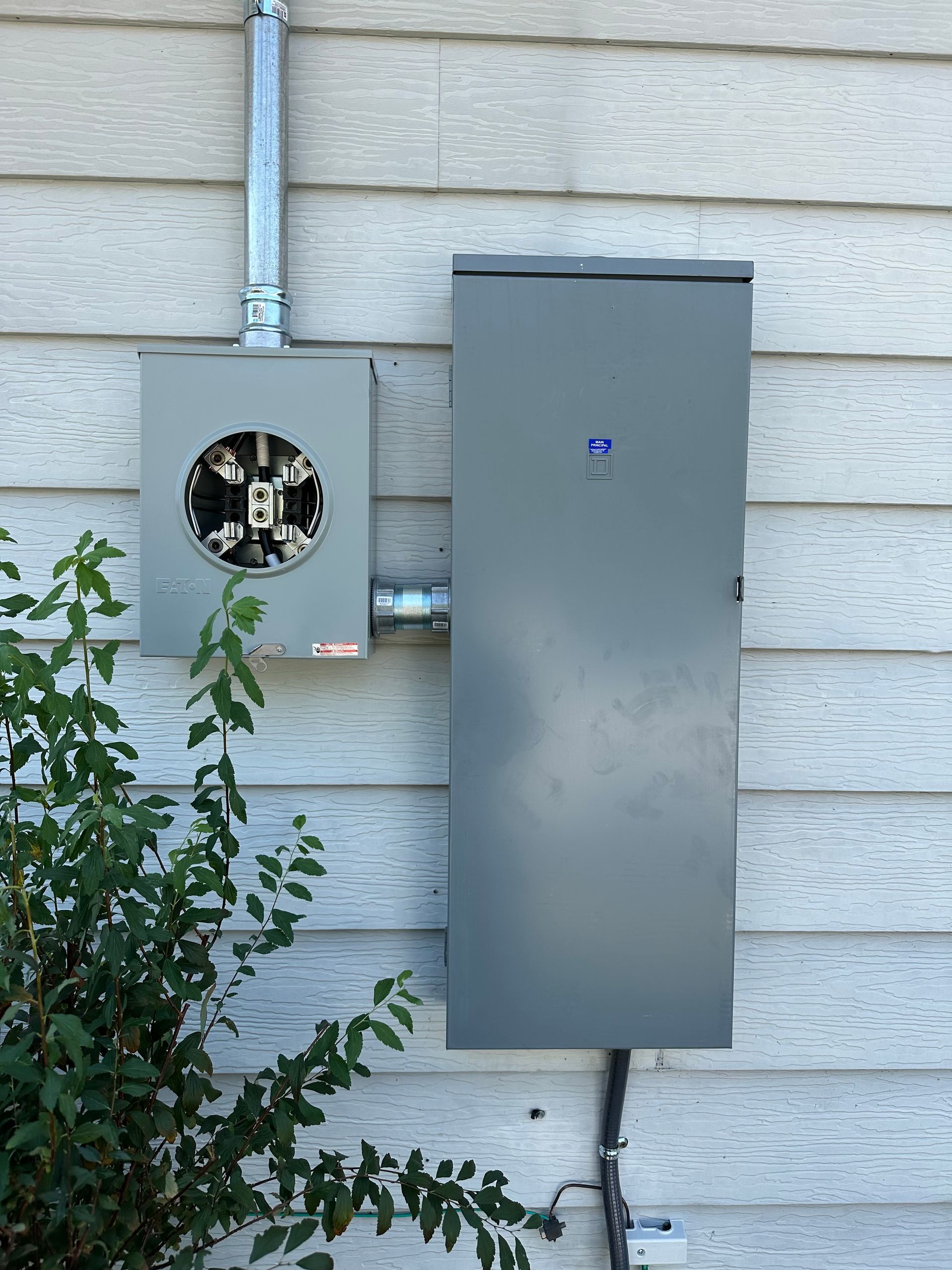 Gray electrical meter and panel mounted on a light gray clapboard wall, with conduit and a small bush.